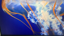優(yōu)派 23.8英寸 4K超清IPS顯示器 HDR400 TypeC96W 10bit 旋轉(zhuǎn)升降 微邊廣色域?qū)I(yè)設(shè)計(jì)顯示屏VG2481-4K 曬單實(shí)拍圖