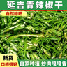 延吉綠辣椒 干青辣椒干辣椒農(nóng)家自曬辣椒干炒牛肉農(nóng)家干菜干貨 延吉青辣椒干一斤裝 500g 曬單實拍圖