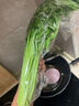 空心菜300g 曬單實(shí)拍圖