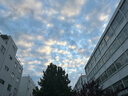 左顏右色男士美白洗面奶去黃提亮膚色保濕淡化痘印潔面乳護(hù)膚品150g 曬單實(shí)拍圖