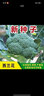 【新種速發(fā)】西蘭花種籽花椰菜高產(chǎn)正品耐寒青花菜籽蔬菜種子大全 西蘭花種子 1包約300粒 曬單實(shí)拍圖