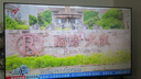 飛利浦（PHILIPS）50英寸4K超高清智慧全面屏 高頻調(diào)光護(hù)眼 遠(yuǎn)場(chǎng)AI語(yǔ)音智能液晶平板電視機(jī)50PUF7590/T3 國(guó)家補(bǔ)貼15% 曬單實(shí)拍圖
