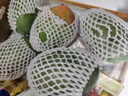 集南鮮 凱特芒果 四川攀枝花芒果當季大青皮黃皮大芒果新鮮水果整箱 含箱10斤  單果500g起  凈重9斤 曬單實(shí)拍圖