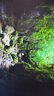 綠聯(lián)（UGREEN）DP高清線2k144Hz 4K高清 公對公連接線1.2版電腦顯卡臺式機筆記本連接顯示器轉換線 1.5米 曬單實拍圖