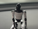 特斯拉（Tesla）Tesla Bot 擺件人形玩偶機(jī)器人模型 曬單實(shí)拍圖