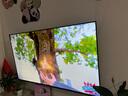 TCL電視 55V8L Pro 55英寸 144Hz高刷 QLED量子點(diǎn) 3GB+64GB大內(nèi)存 4K DeepSeek AI電視 國家補(bǔ)貼20% 曬單實(shí)拍圖