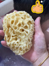 KRRAMEL希臘天然海綿嬰兒寶寶洗澡海綿兒童沐浴海綿洗臉撲沐浴溫和清潔 蜂窩海綿S+級：9-10cm推薦嬰兒 曬單實拍圖