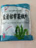 鮮海帶 鹽漬海帶絲 涼拌菜海帶絲食材鮮嫩 新鮮鹽漬海帶絲250g 曬單實(shí)拍圖