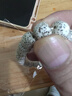 山中玉星月菩提子108顆海南原籽高密度順白手串男素佛珠正月七夕禮物 精挑10x8mm單圈順白 曬單實拍圖