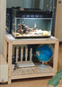 乙方甲方中小型實(shí)木魚(yú)缸架子底柜底座水族箱桌子木質(zhì)置物架龜缸底濾架多層 魚(yú)缸架2層70*40*50，腳高5 曬單實(shí)拍圖