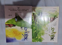 【官方推薦】盛夏全2冊 木蘇里熱血青春力作實體書 青春/都市/言情/輕小說文學(xué) 長江出版社雙學(xué)霸江添盛望雙男主 現(xiàn)代青春文學(xué)小說雙男主實體書 【全2冊】盛夏1-2 【全2冊】盛夏1-2 曬單實拍圖