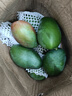 沐小七果蔬正宗金煌芒果【JD順豐極兔速運(yùn)】新鮮水果青皮芒果水果禮盒送禮 9斤【家庭暢享-超值裝】凈8.5斤 巨無霸果【單果300g+】越大越甜 曬單實(shí)拍圖