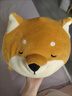 名創(chuàng)優(yōu)品（MINISO）柴犬系列毛絨公仔趴姿玩具娃娃抱枕睡覺室內(nèi)臥室辦公室生日禮物 曬單實拍圖