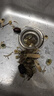 華為長(zhǎng)續(xù)航藍(lán)牙耳機(jī) FreeBuds SE 2無(wú)線耳機(jī) 40小時(shí)長(zhǎng)續(xù)航 快速充電 藍(lán)牙5.3適用于蘋(píng)果/安卓手機(jī) 白 曬單實(shí)拍圖