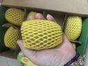 佳沛zespri新西蘭陽光金奇異果進(jìn)口新鮮獼猴桃水果禮盒裝包郵源頭直發(fā) 8粒裝  特大果 單果約135-148g 曬單實(shí)拍圖