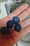 云南藍(lán)莓【JD/順豐多地次日達(dá)】超大果花香藍(lán)莓新鮮水果送禮 4盒 越多越劃算【100g-125g/盒】 精選大果【單果18mm+】 曬單實(shí)拍圖