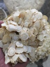 全延加拿大西洋參原裝進口特級整枝切片正宗花旗參禮盒官方整根老參 精選單個20克粒頭/【250克】 曬單實拍圖