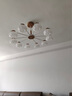 雷士（NVC）奶油木棉花智能舒適光泡芙客廳吊燈餐廳吊燈全光譜燈具燈飾套餐 泡芙 100瓦LED 智能全光譜吊燈 曬單實拍圖