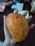 小臺(tái)農(nóng)芒果新鮮小臺(tái)芒當(dāng)季特產(chǎn)水果  輕微花皮半熟果發(fā)貨 臺(tái)芒3斤單果70-100克 帶箱重量 曬單實(shí)拍圖