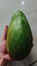 京鮮生 攀枝花凱特芒 凈重8.5斤 帶箱9斤 單果600g+ 生鮮水果 源頭直發(fā) 曬單實(shí)拍圖