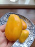 海南小臺(tái)農(nóng)芒果9斤新鮮現(xiàn)摘小臺(tái)芒應(yīng)當(dāng)季時(shí)令熱帶水果整箱甜心芒 5斤 【大果】精選裝 曬單實(shí)拍圖