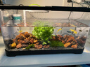 闊庭魚(yú)缸懶人魚(yú)缸家用客廳辦公室金魚(yú)缸過(guò)濾魚(yú)缸黑色款 曬單實(shí)拍圖