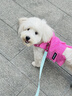 MIKI PAD狗狗衣服小型犬夏季薄款衣服戶外馬甲春秋透氣泰迪比熊可牽引 玫紅馬甲 S胸圍30cm（參考體重1-4斤） 曬單實(shí)拍圖