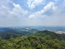 鑲嵌玉器珠寶銀飾翡翠琥珀戒托密蠟加工發(fā)晶愛牢達ab透明快固膠水 半透明淡乳白色 25g 曬單實拍圖