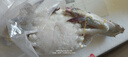 舟山梭子蟹鮮活特大野生大螃蟹新鮮冷凍海鮮水產(chǎn)海蟹飛蟹白蟹順豐 7-9兩/只【5斤凈重 特大肥壯】 曬單實拍圖