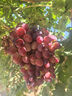 華為（HUAWEI）【咨詢(xún)享優(yōu)惠】?jī)和直?4 Pro華為高清拍照視頻通話(huà)4G全網(wǎng)通智能GPS定位防水男女孩學(xué)生電話(huà)手表 【4Pro星云藍(lán)】【保護(hù)膜+表帶】 曬單實(shí)拍圖