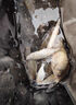 川澤釣魚(yú)不銹鋼地插支架炮臺座魚(yú)竿萬(wàn)向座炮臺桿架插地架釣魚(yú)用品漁具 單向地插（紅色） 曬單實(shí)拍圖