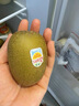 佳沛（zespri）陽光金奇異果黃心獼猴桃新西蘭進(jìn)口巨無霸當(dāng)季新鮮水果禮盒 16枚【精美禮盒】80％人選擇 優(yōu)選果（單果約105-113g） 曬單實拍圖
