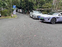 擎晨禮炮筒結(jié)婚用品大全婚禮花瓣雨禮花筒訂婚手擰式彩帶噴花筒禮花 吾家有喜_彩繪禮炮【多巴胺花瓣 60型號【4根裝】 曬單實拍圖