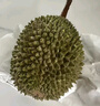 京東超市貓山王榴蓮馬來(lái)西亞D197新鮮冷凍2.5-3斤保4房生鮮水果 曬單實(shí)拍圖