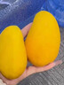 味果生海南小臺農芒果9斤新鮮小臺芒當季熱帶水果現摘甜心小芒果整箱 3斤 精選大果 曬單實拍圖
