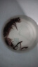 活泥鰍 戶外垂釣釣魚專用餌料飼料魚本地金鰍鮮活淡水烏龜龍魚飼料活體泥鰍批發(fā) 5-9厘米泥鰍50條 曬單實(shí)拍圖