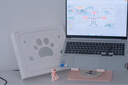 SayRose筆記本電腦平板ipad通用支架無(wú)極旋轉電腦升降增高散熱器碳素鋼材質(zhì)穩固不晃可愛(ài)女生貓爪支架 櫻花粉-靈動(dòng)貓爪支架 【結實(shí)金屬材質(zhì)+便攜可折疊+精美禮盒】 曬單實(shí)拍圖