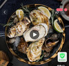 燈塔水母【鮮活】乳山生蠔牡蠣6XL號(hào)凈重5斤源頭直發(fā) 曬單實(shí)拍圖