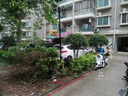 蒂倫克詩(shī) 歐式路燈庭院防水景觀燈家用院子雙頭戶(hù)外公園別墅小區(qū)高桿燈 雙頭松樹(shù)/黑色高3.2米【接電款】 曬單實(shí)拍圖