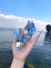 QMXD超仙夏日藍(lán)色流蘇花朵耳釘女高級感度假風(fēng)小眾耳環(huán)絕美氣質(zhì)耳飾 藍(lán)色一對 曬單實(shí)拍圖