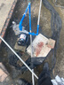 恒格爾增壓泵家用自吸泵熱水器自來水全屋管道加壓泵全自動(dòng)抽水泵 380W（自動(dòng)啟停/防凍防銹） 曬單實(shí)拍圖