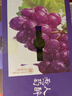 京鮮生 巨峰葡萄 4-4.5斤禮盒裝 生鮮水果 酸甜口感易掉粒 水果禮盒 曬單實(shí)拍圖