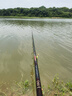 流云追風(fēng)極MAX釣翹嘴竿子9/10/11/12米甩大鞭鳊魚鯉魚草鯽魚竿手竿 11m 【常規(guī)版】6H11米548g 曬單實(shí)拍圖