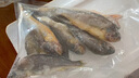 順豐小黃魚(yú)深海捕撈速凍生鮮野生黃花魚(yú)肉質(zhì)鮮嫩海鮮水產(chǎn)煲湯煎炸 1斤【小黃花魚(yú)】 曬單實(shí)拍圖