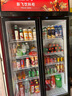 新飛（frestec）展示柜冷藏保鮮柜酒水飲料冰柜雙開(kāi)門(mén)冷藏柜酒店冷藏保鮮柜超市直冷玻璃門(mén)風(fēng)冷無(wú)霜冰箱立式冷柜 小雙門(mén)黑紅588L【直冷省電】【店長(zhǎng)推薦】 曬單實(shí)拍圖