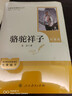 駱駝祥子+鋼鐵是怎樣煉成的（升級版） 人教版名著閱讀課程化叢書 七年級下套裝（共2冊）與25春新版初中語文教材配套使用（含微課，從教學角度講解名著；含閱讀筆記本，提供測評指導幫助提升整本書閱讀能力） 曬單實拍圖