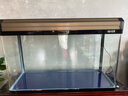 創(chuàng)海魚缸玻璃長方形客廳家用小型桌面生態(tài)金魚缸中型懶人免換水水族箱 80*30*53cm 單缸 大禮包 曬單實拍圖