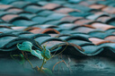 松下S5M2+（50mm F1.8） 白盒單鏡頭定焦套裝  全畫幅微單相機(jī) 約2420萬(wàn)有效像素 新相位混合對(duì)焦 曬單實(shí)拍圖