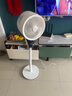 OJA【100檔風扇銷冠】2025空氣循環(huán)電風扇臥室超靜音一級能效 AI智能語音家用落地空調(diào)塔扇大風量直流 【德國交流款】8檔颶風*負離子殺菌除醛 曬單實拍圖