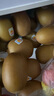 佳沛（zespri）新西蘭  陽光金奇異果10粒禮盒巨大果單果約144-175g 水果 獼猴桃 曬單實(shí)拍圖
